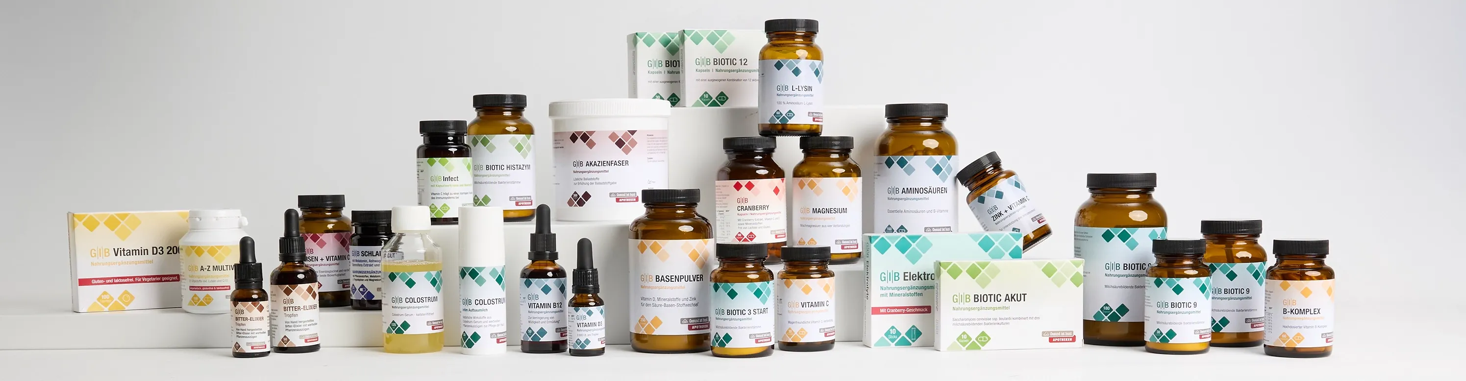 Gruppenbild GIB-Abwehrkraft